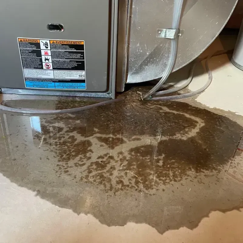 Appliance Leak Cleanup in Lander County, NV